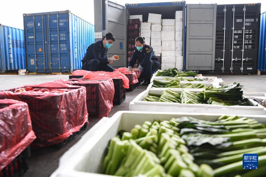 선전 ‘해상 신속 통로’ 개통, 홍콩의 생활물자 공급 최대한 보장