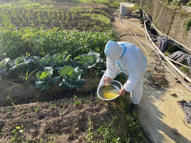 농장주인 격리로 ‘반농사꾼’ 된 방역원